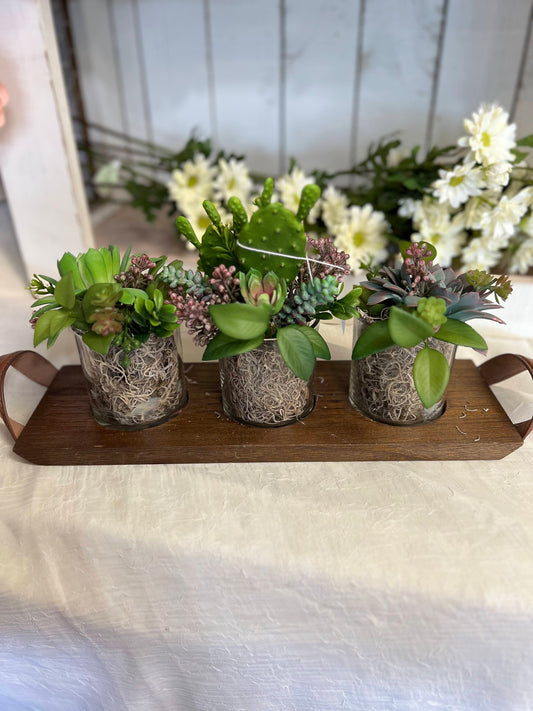 Succulent Trio