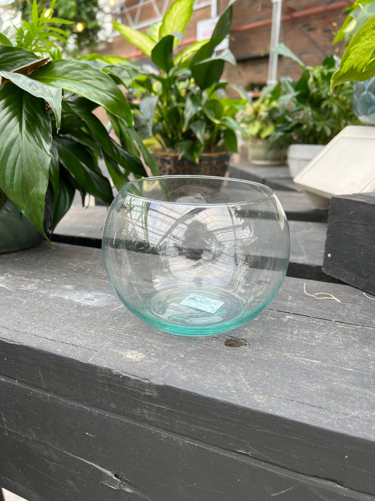 6" Bubble Ball