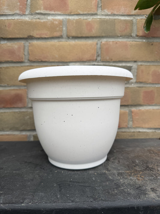 8" Ariana Pot - Vanilla Bean