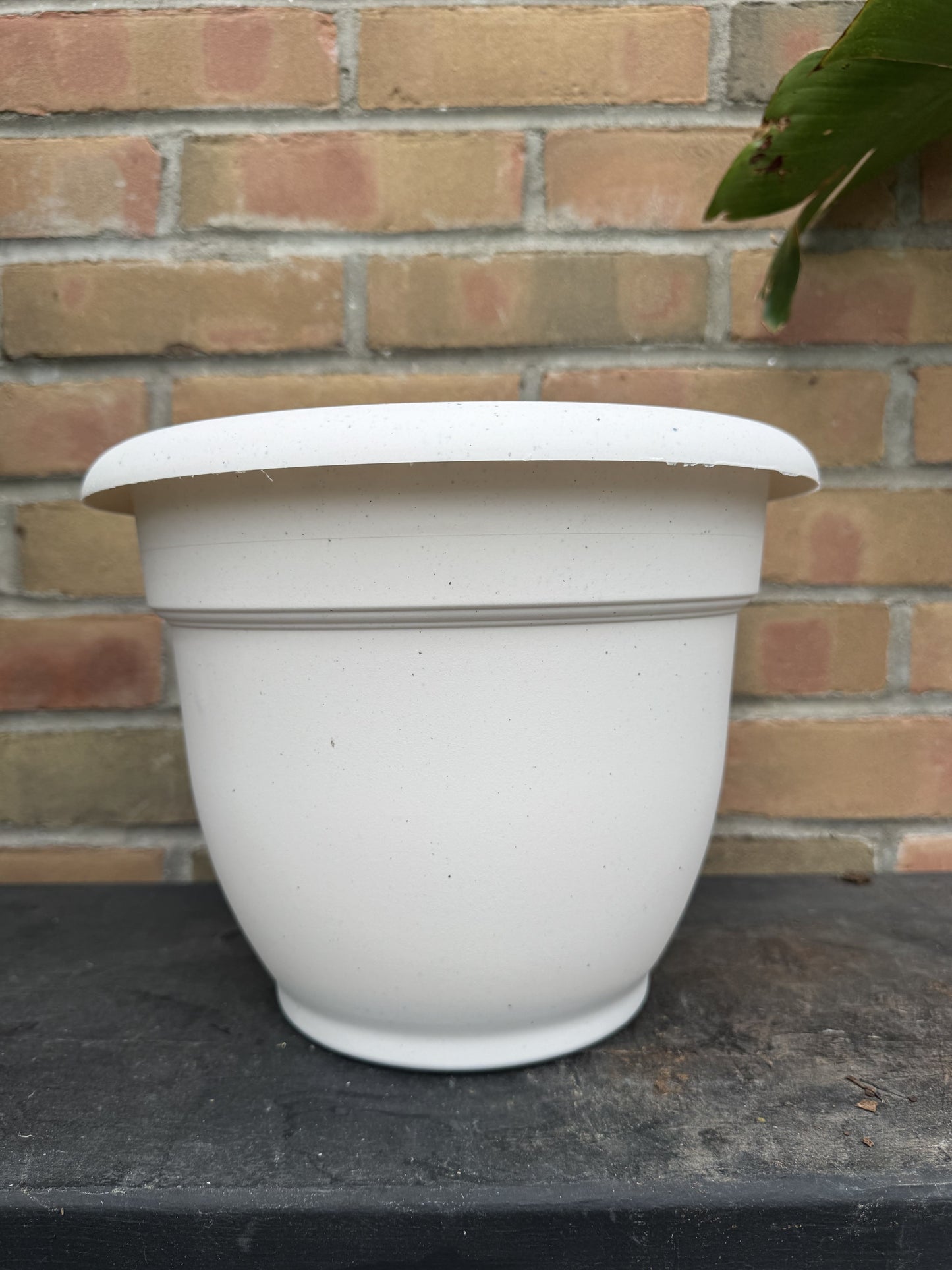 10" Ariana Pot - Vanilla Bean