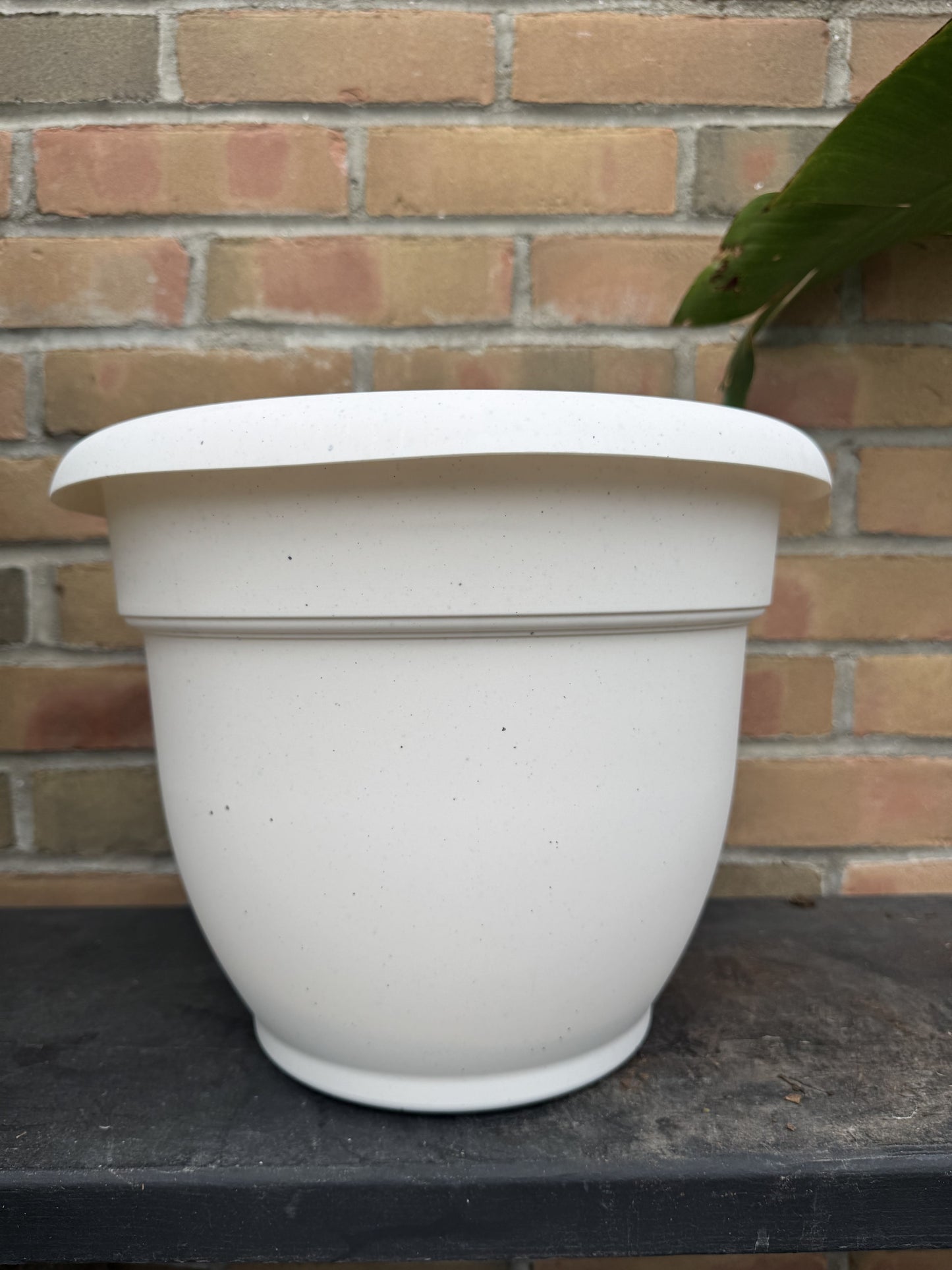 12" Ariana Pot - Vanilla Bean