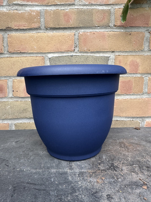 8" Ariana Pot - Navy