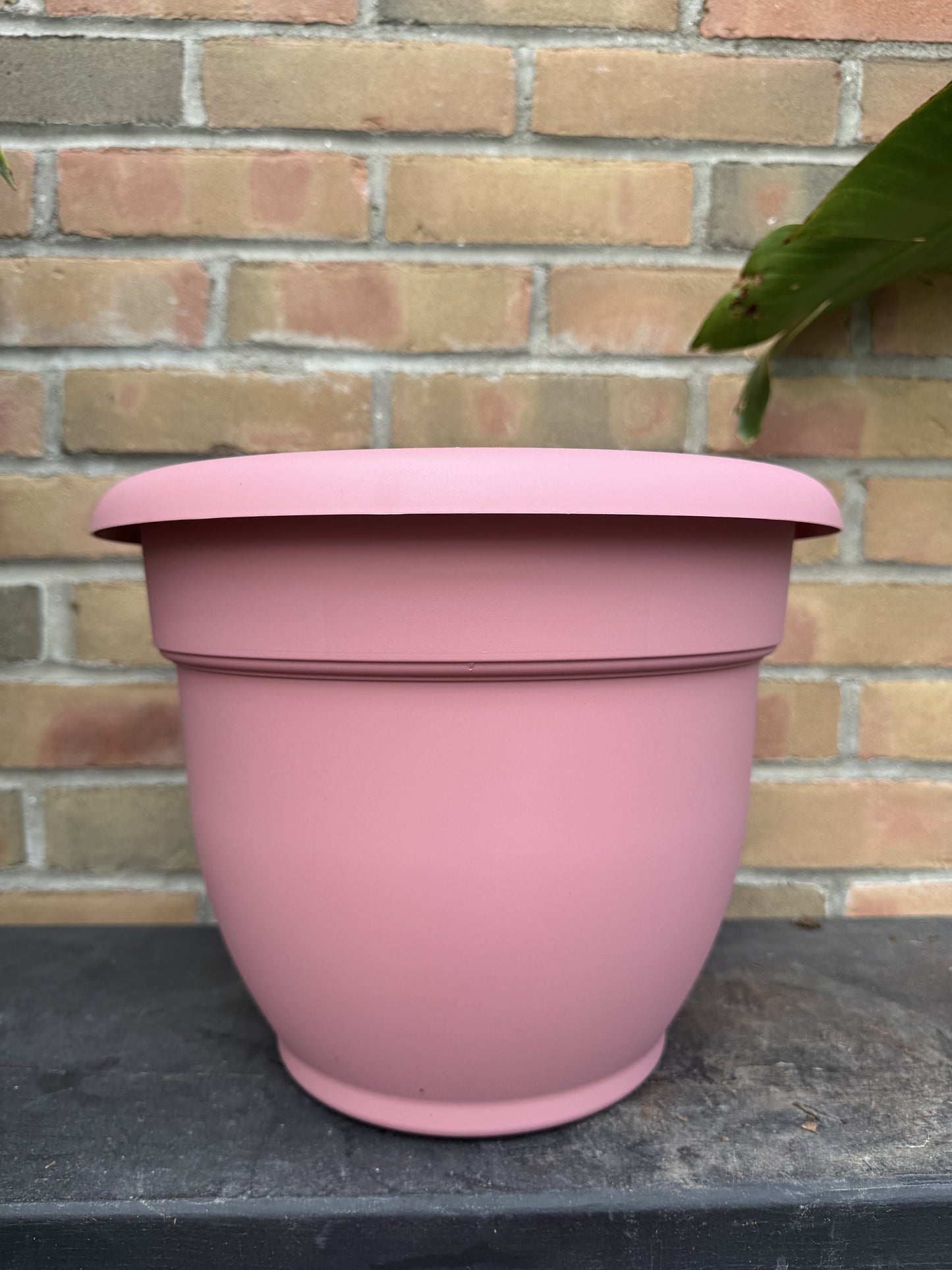 12" Ariana Pot - Dusty Rose