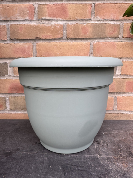 10" Ariana Pot - Basil