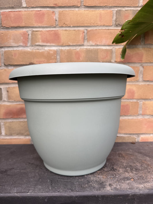 12" Ariana Pot - Basil