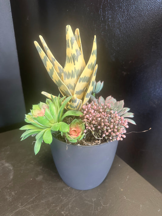 Faux-Ever Succulent Pot