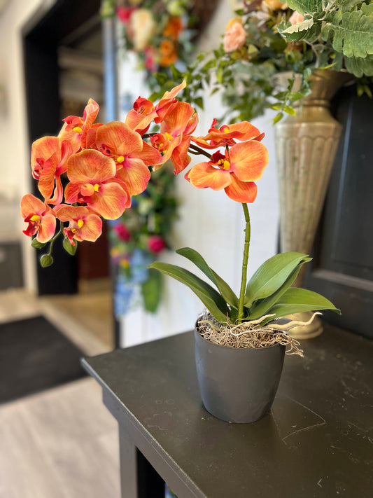 Faux-Ever Orchid