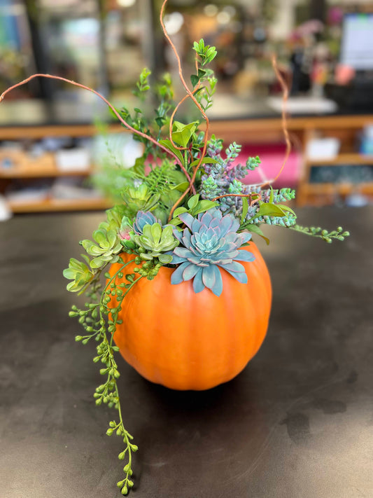 Succulent Pumpkin