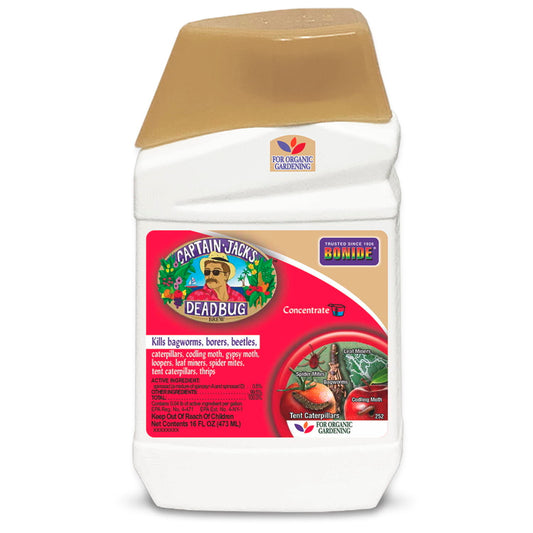 Captain Jack's Deadbug Brew Concentrate - 16oz