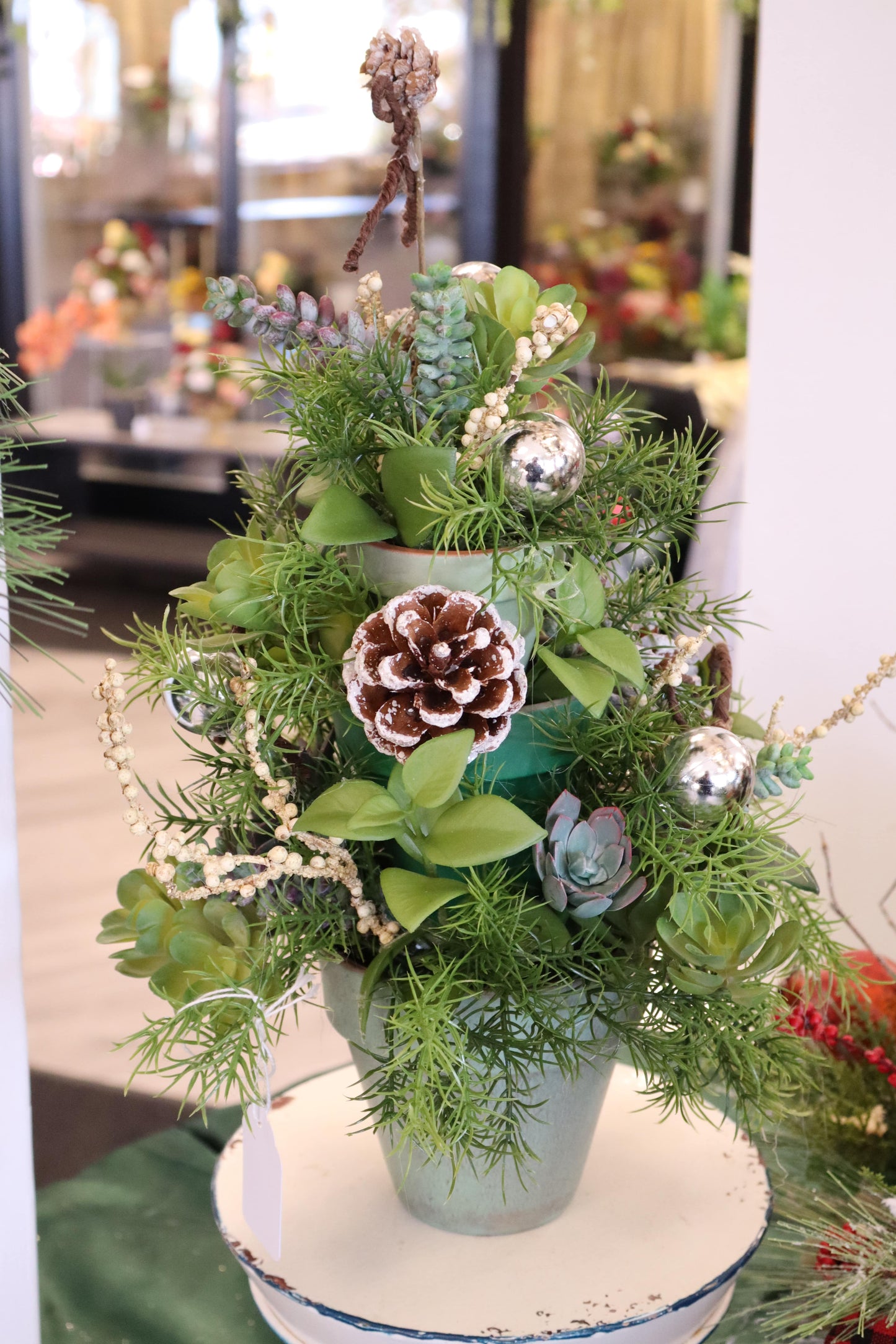 Succulent & Pinecones "Tree"