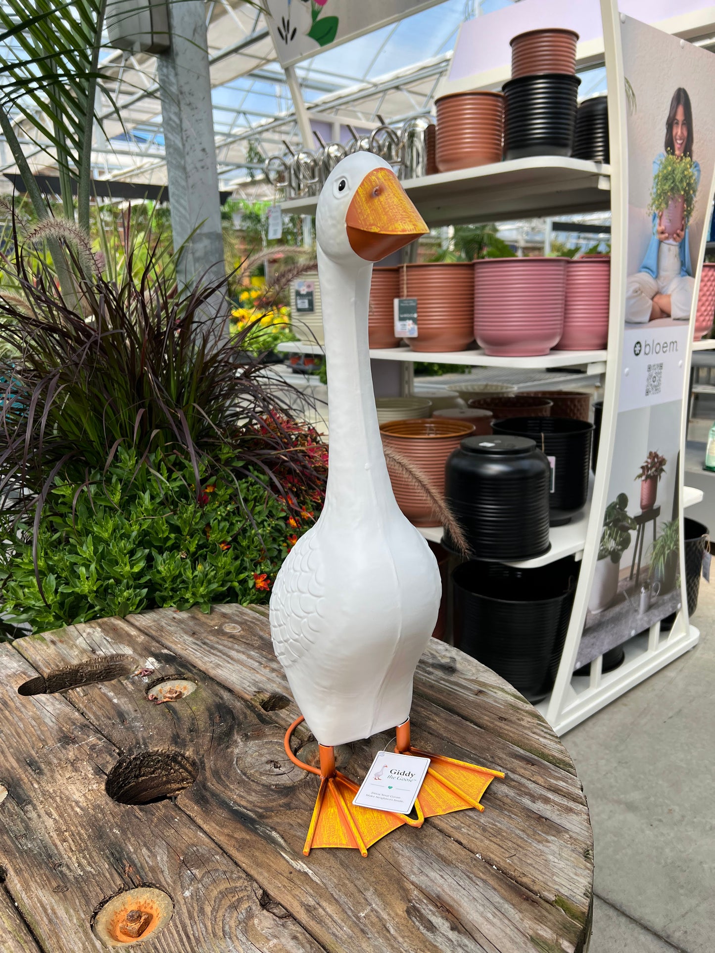 Giddy the Goose