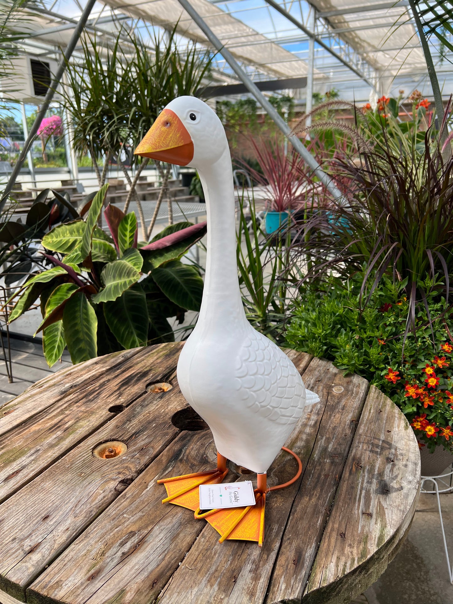 Giddy the Goose