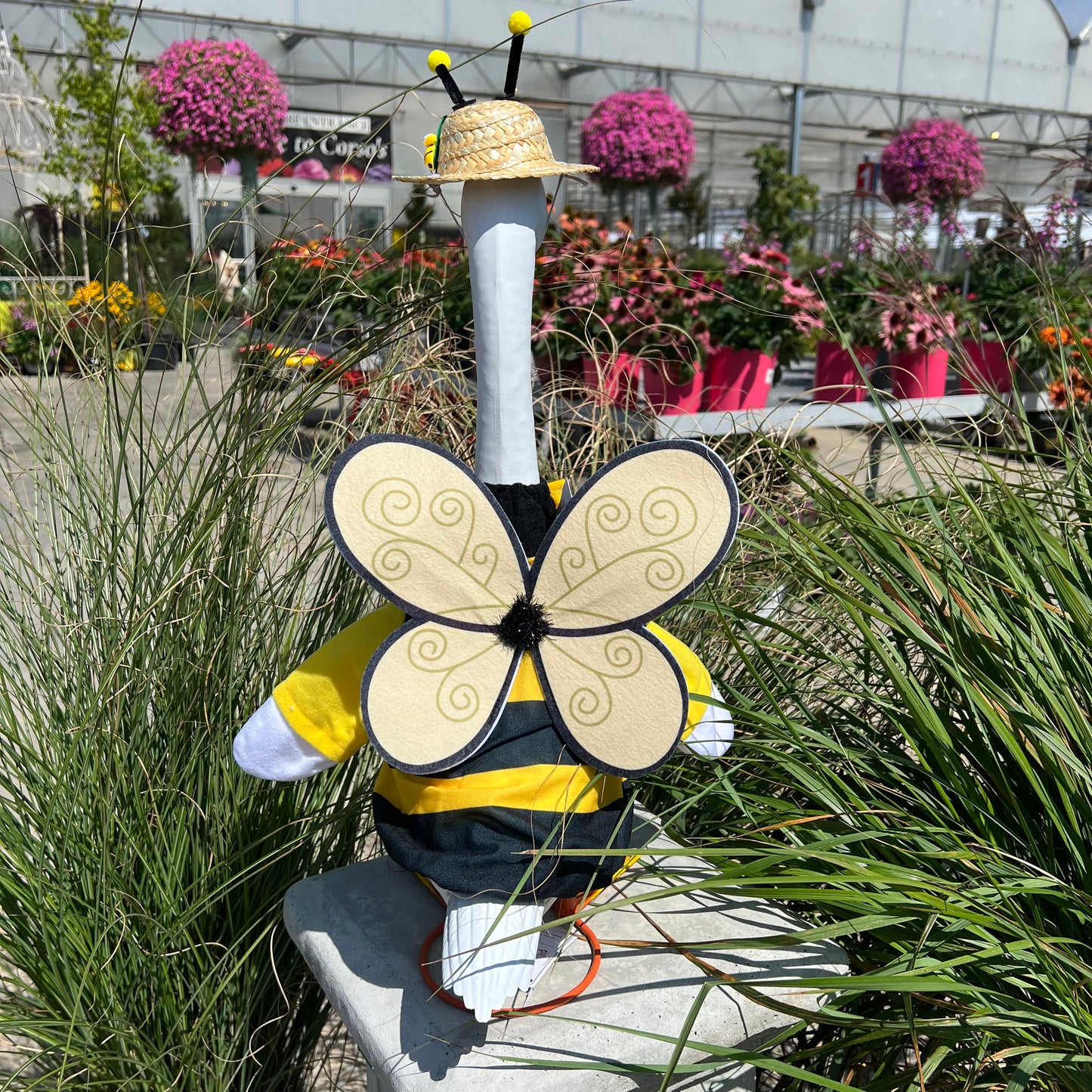 Bee - Giddy Outfit
