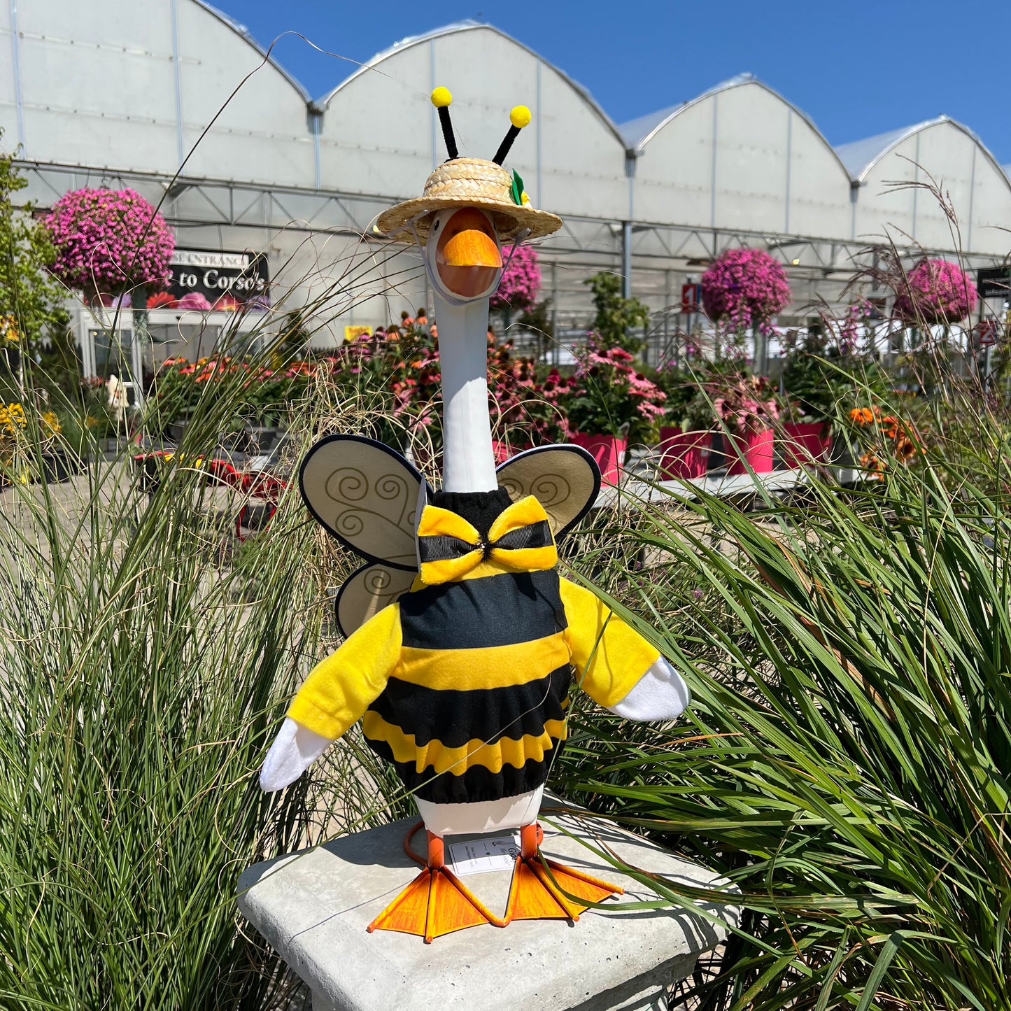 Bee - Giddy Outfit