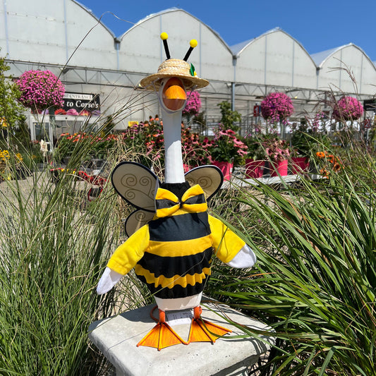 Bee - Giddy Outfit