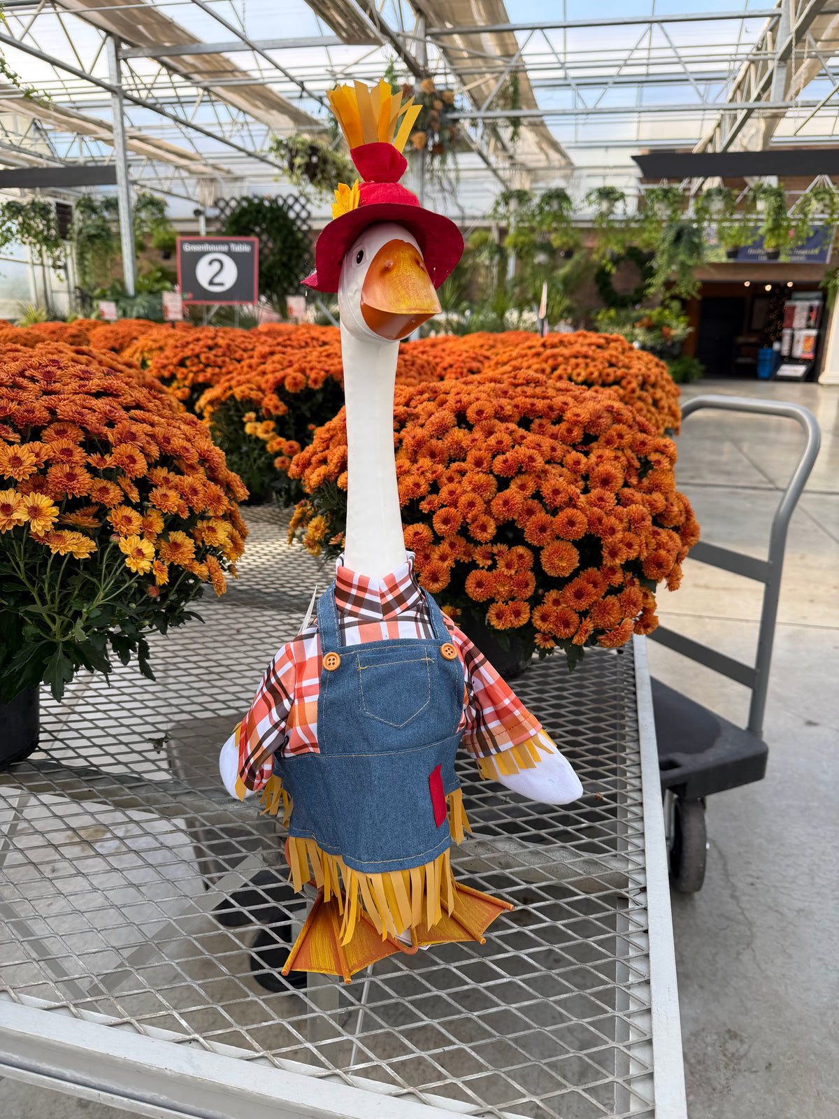 Scarecrow - Giddy Outfit