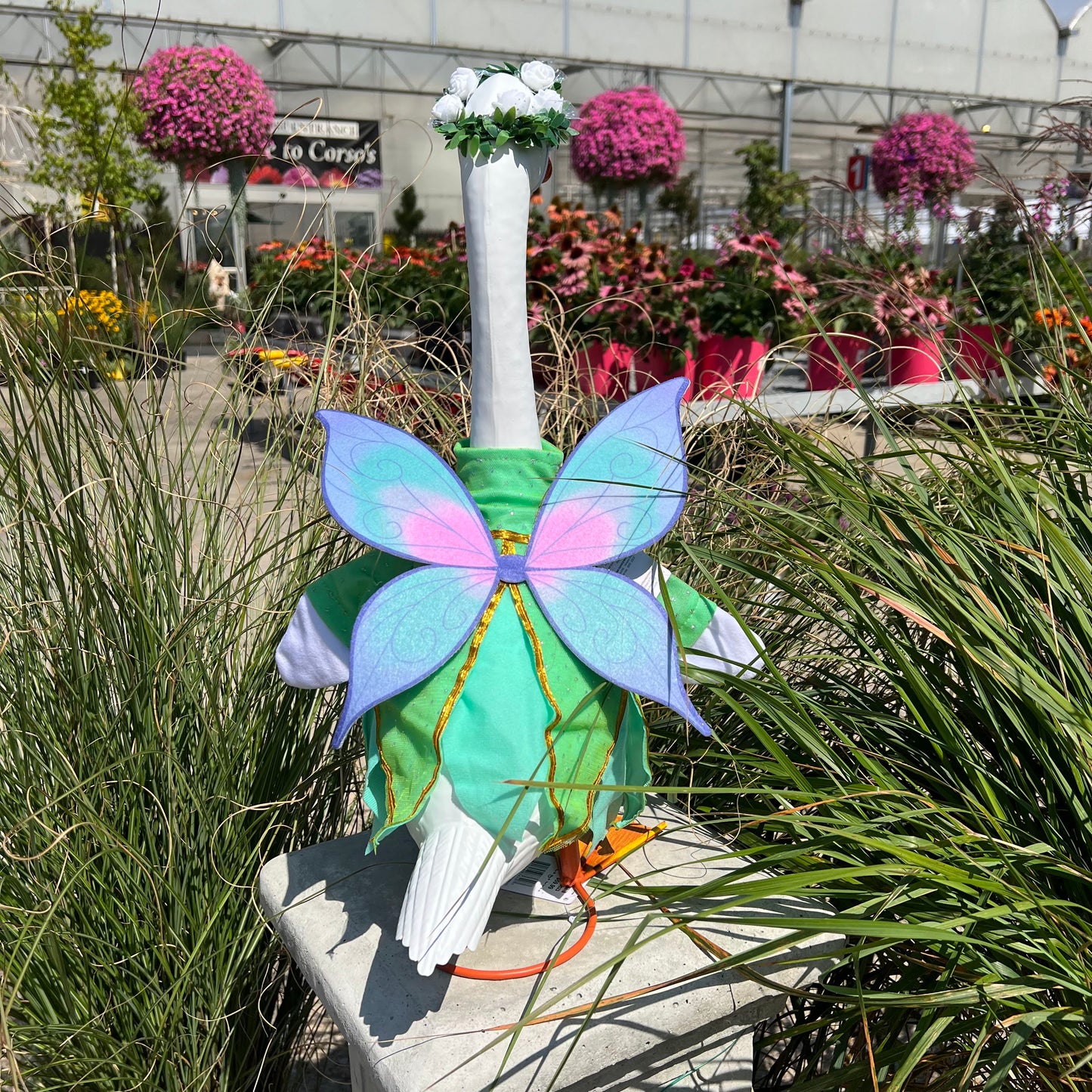 Fairy - Giddy Outfit