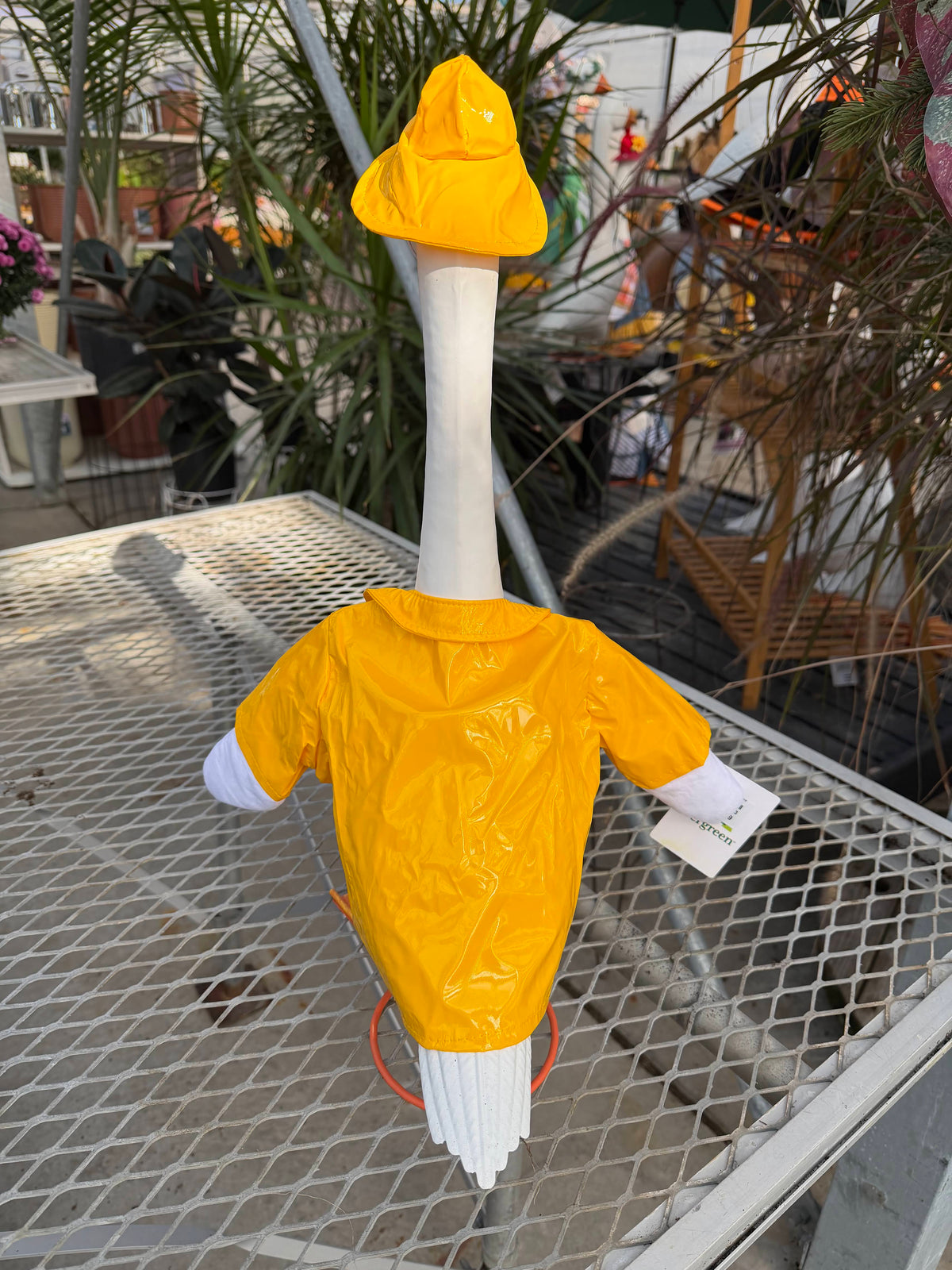 Raincoat - Giddy Outfit