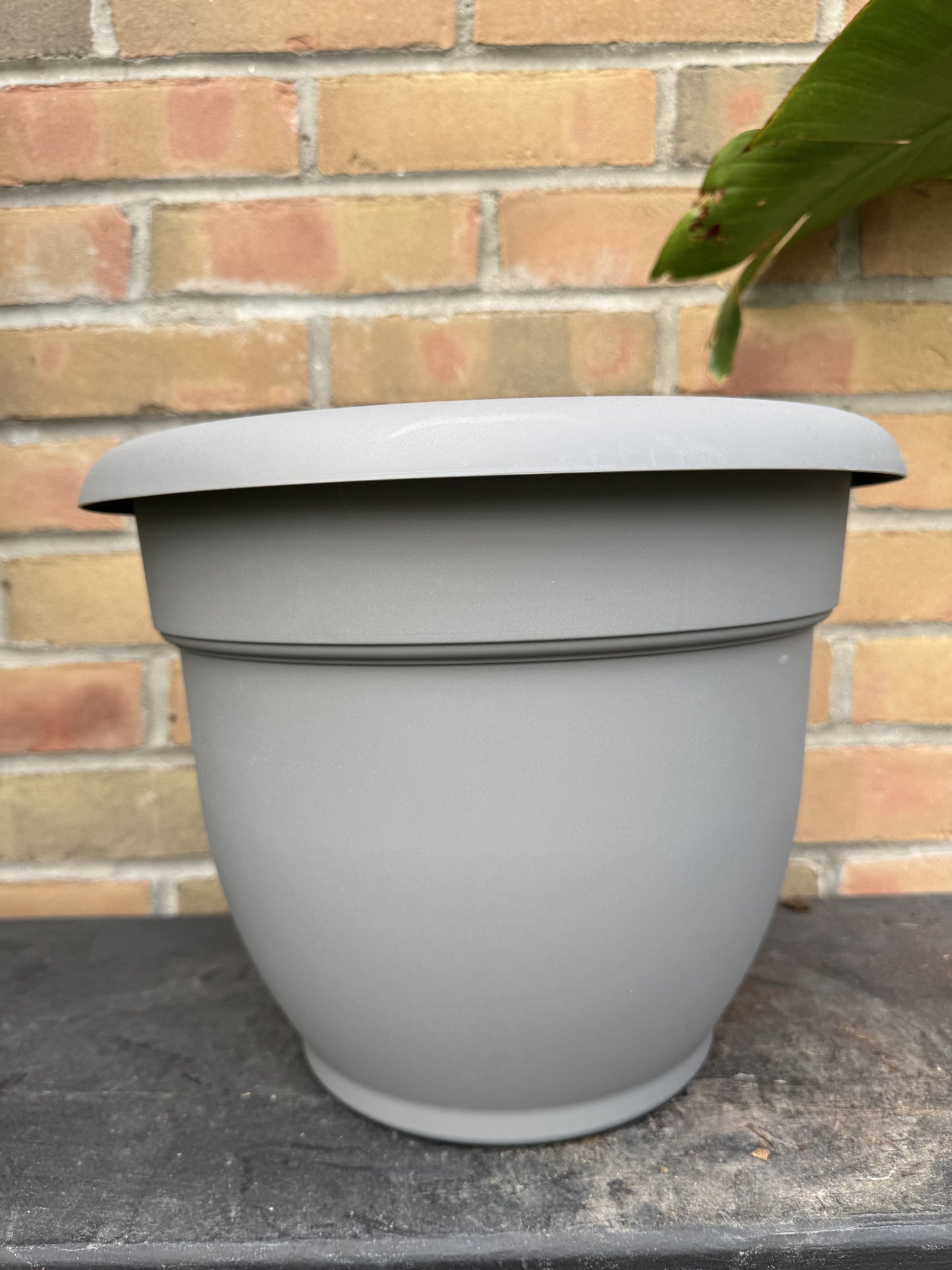 12" Ariana Pot - Charcoal