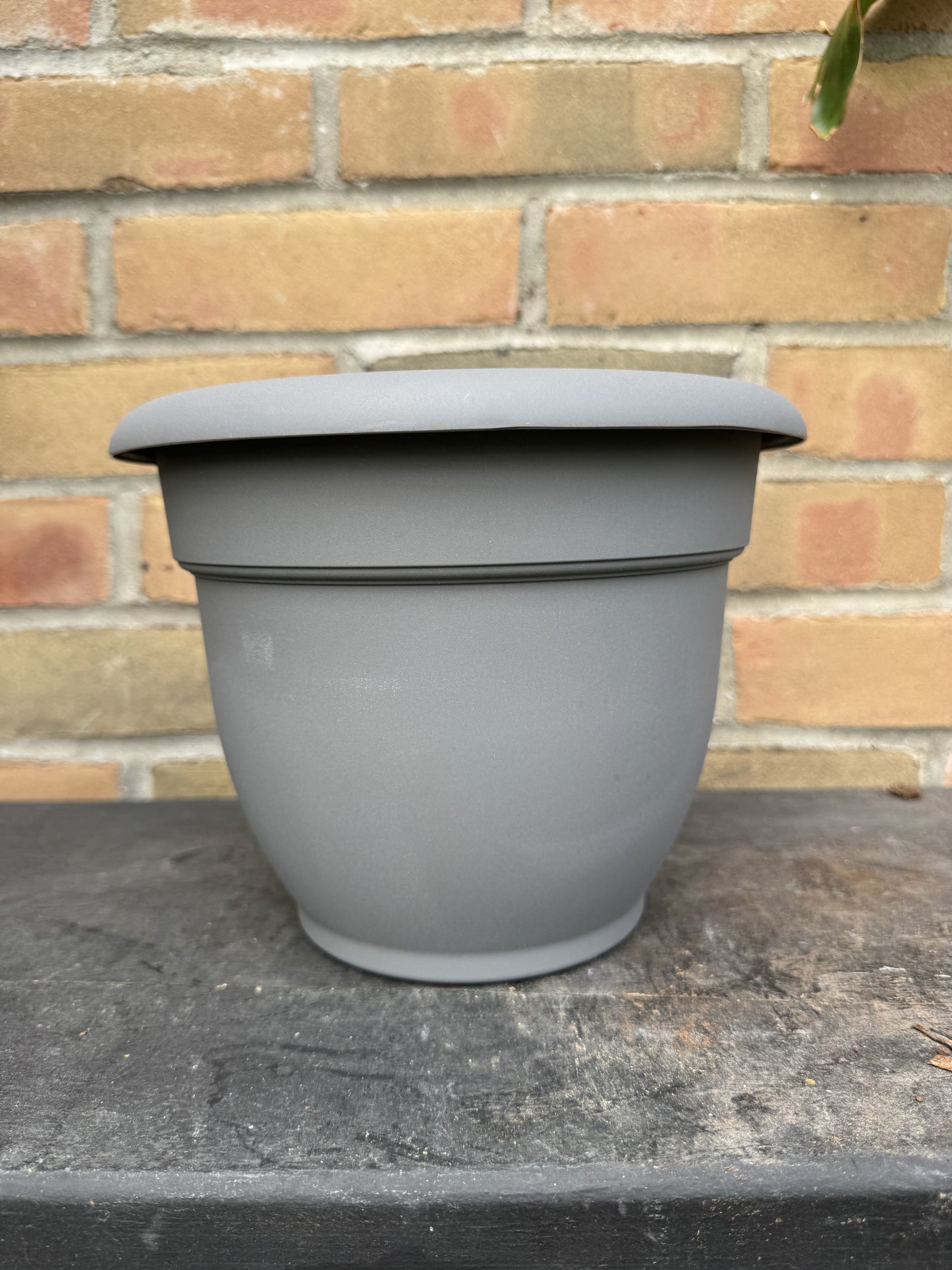 8" Ariana Pot - Charcoal