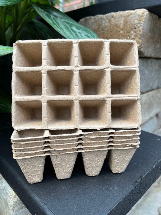 Small Fiber Cell - Set of 6