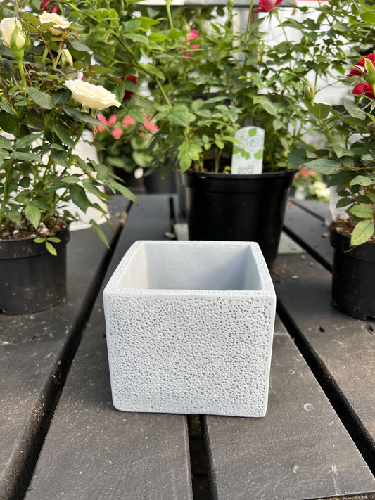 3.94" Square Cement Planter