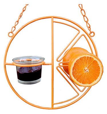 Oriole Bird Feeder