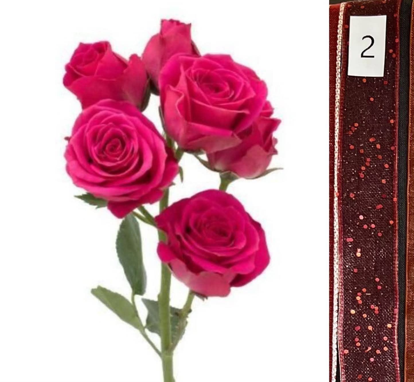 BOU25P^HOT PINK^2. RED SEQUIN.jpg?0
