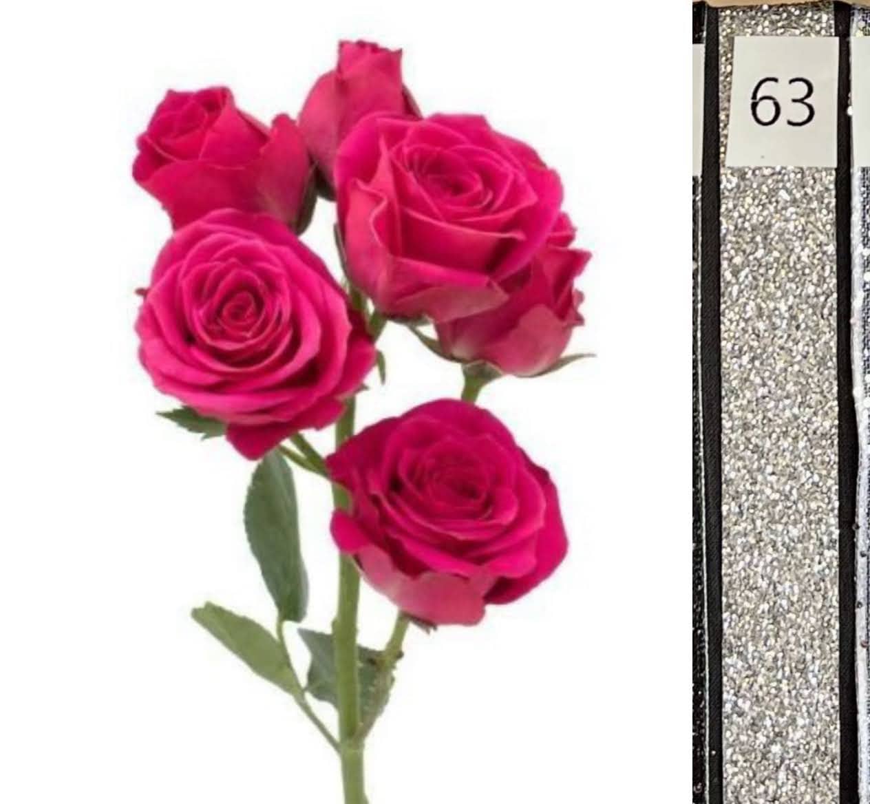 BOU25P^HOT PINK^63. SILVER SEQ..jpg?0