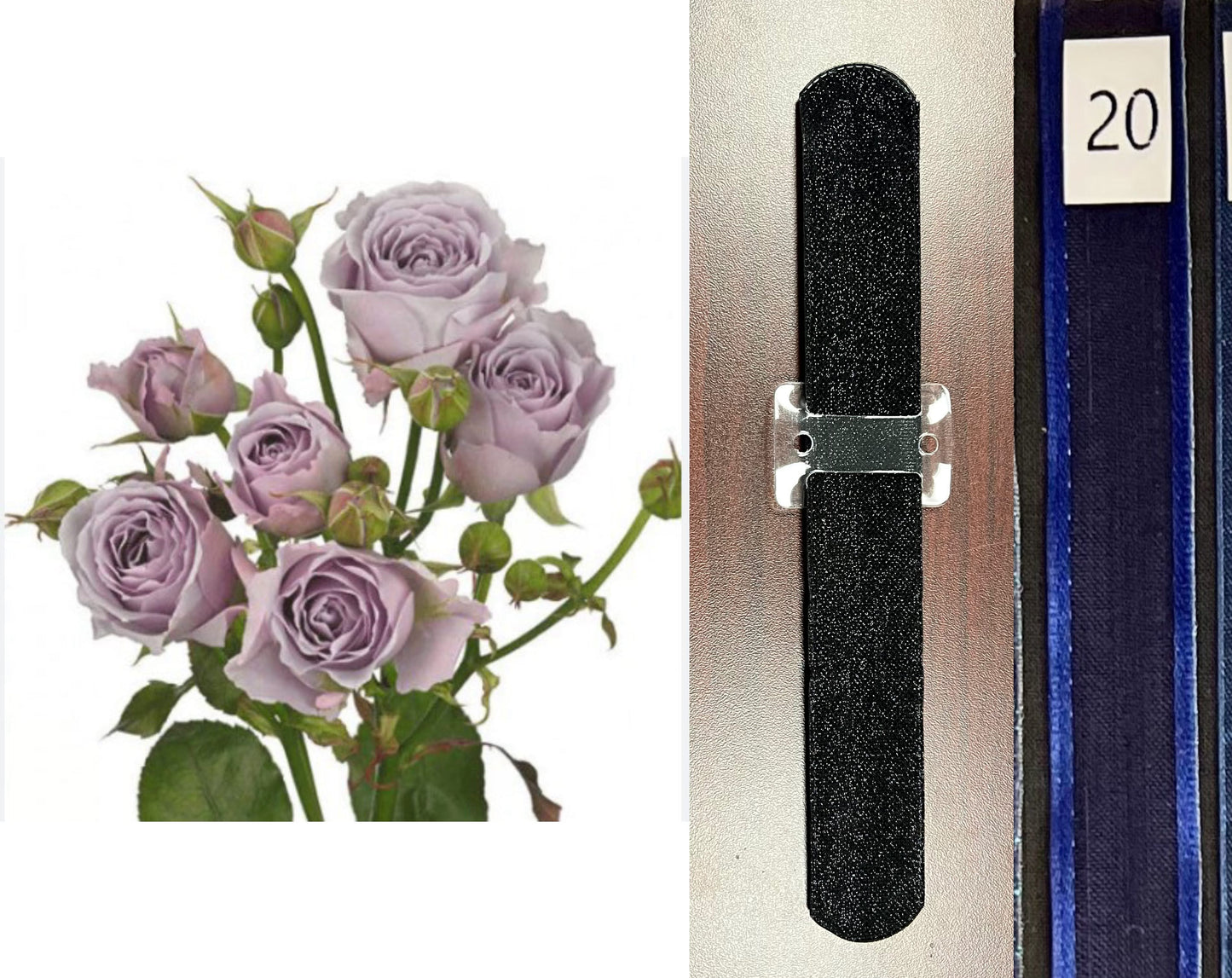 COR45P^BLACK^LAVENDER^20. DARK BLUE.jpg?0