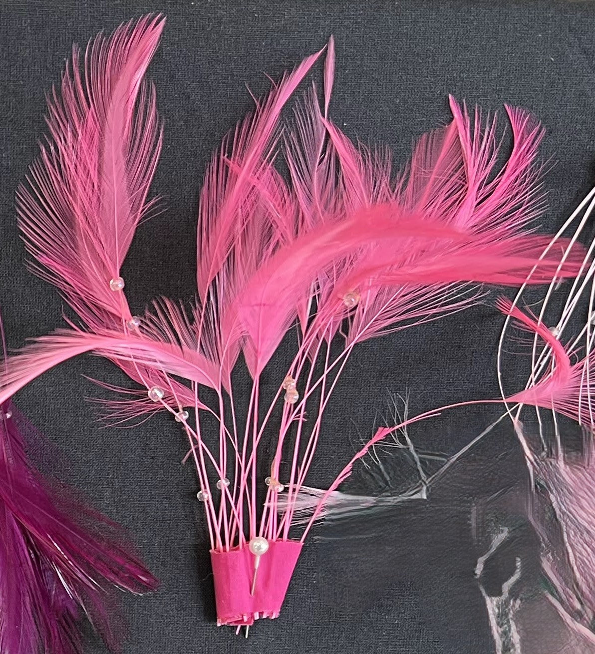 Feathers Bout