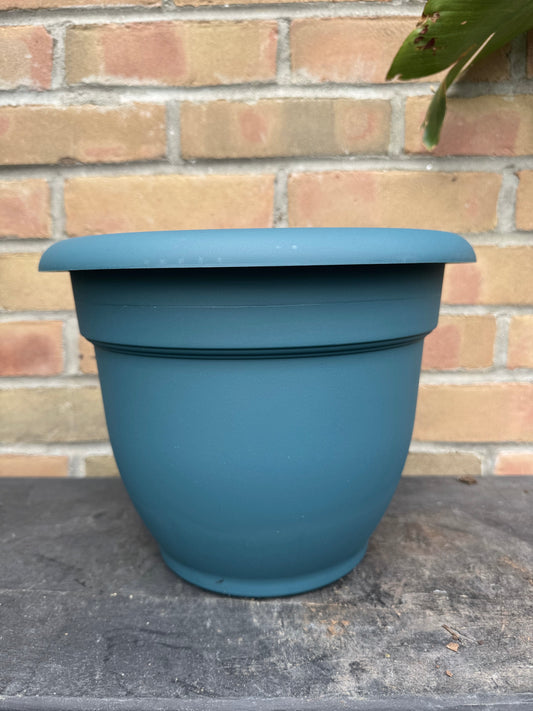 10" Ariana Pot - Charleston Green